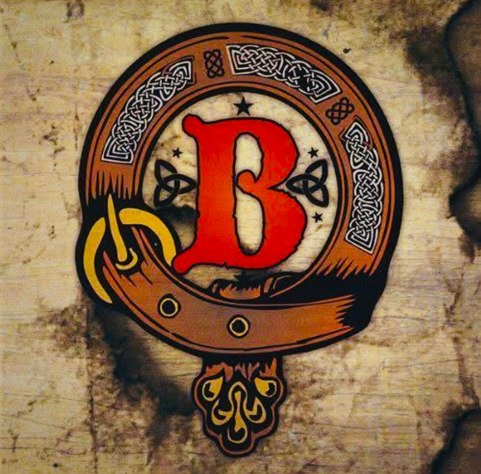 The Bollox — Vinyl Album